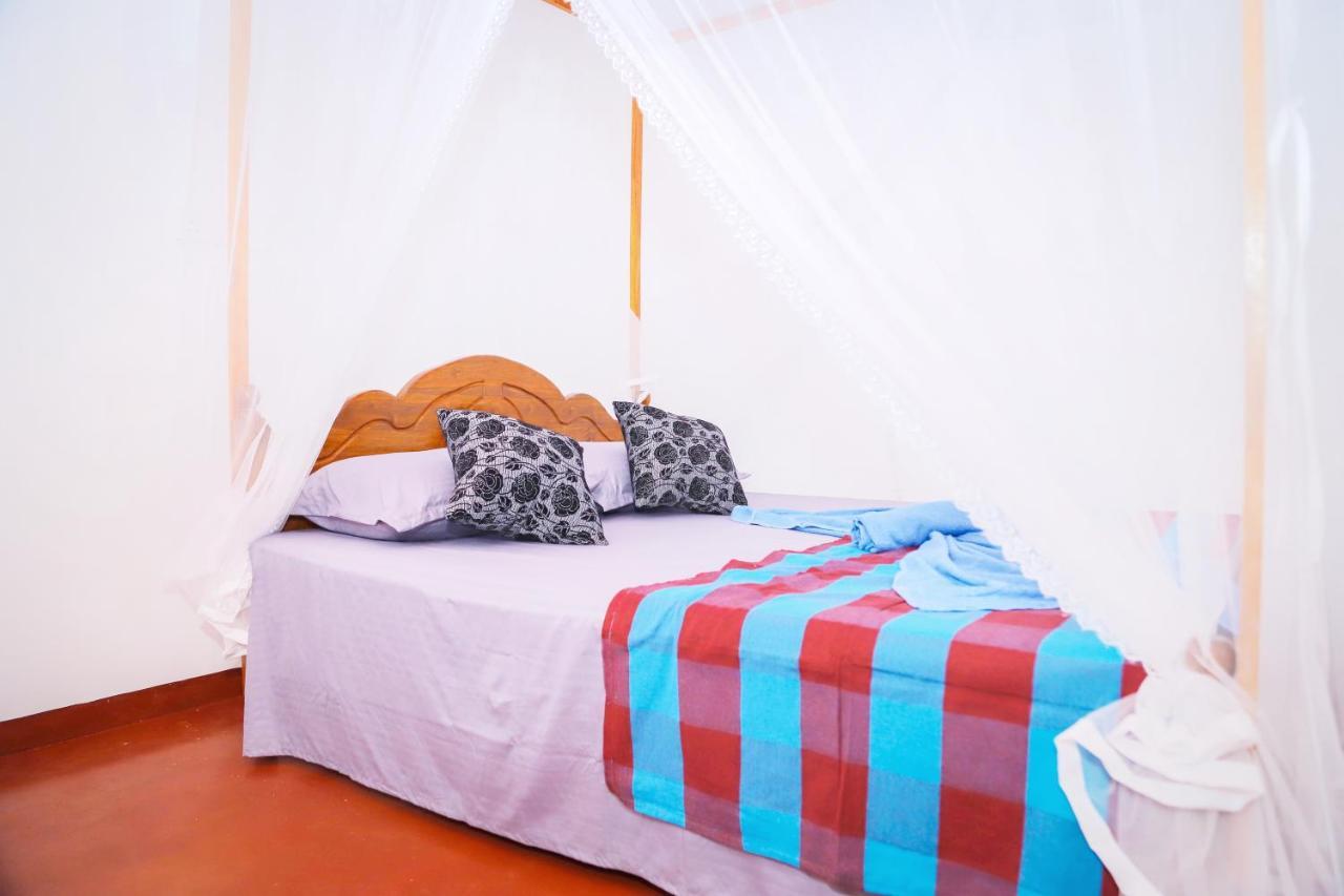 Mango Shade Mirissa Bed and Breakfast Eksteriør billede